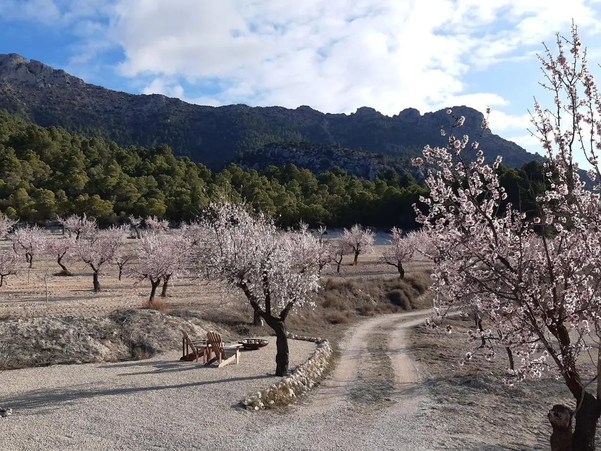 Cortijo Blanco Apartment Velez Blanco