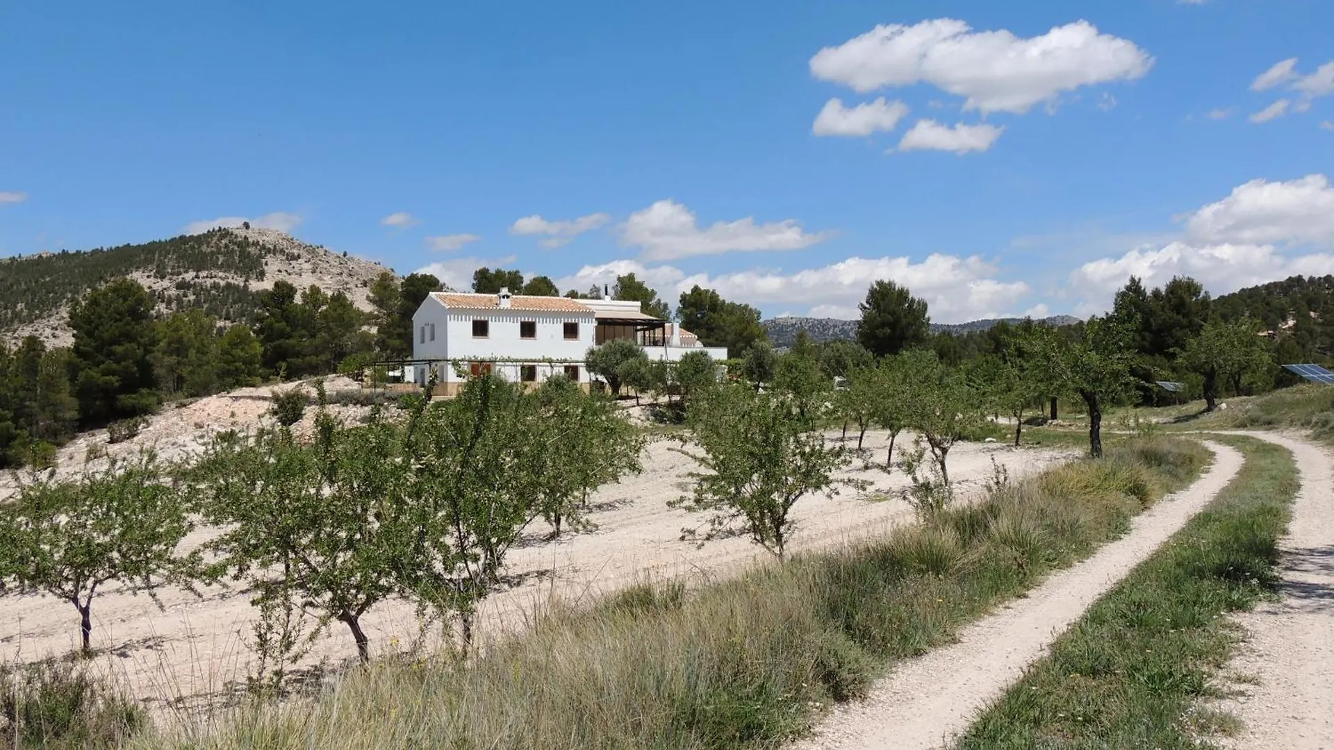 Cortijo Blanco Apartment Velez Blanco 0*,  Spain